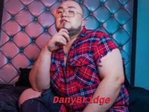 DanyBridge