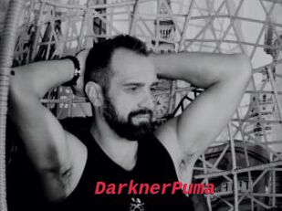 DarknerPuma