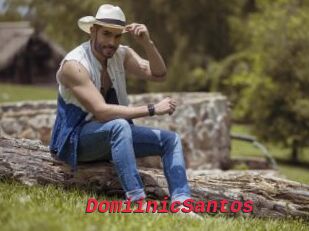DomiinicSantos