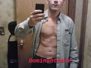 Dominantmale