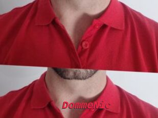 DommeNic
