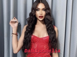 Dahliaamelia