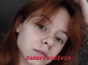 Damariscolvin