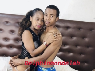 Delphinmondelah