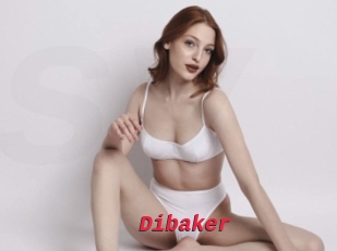 Dibaker