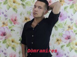 Domramires