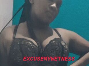 EXCUSEMYWETNESS