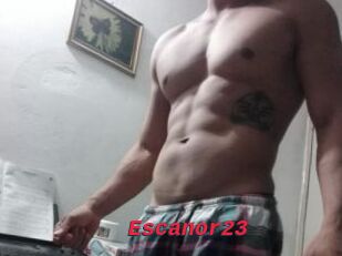 Escanor23