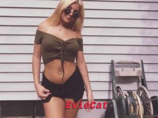 EvieCat