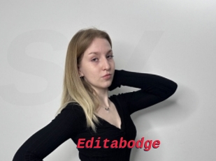Editabodge