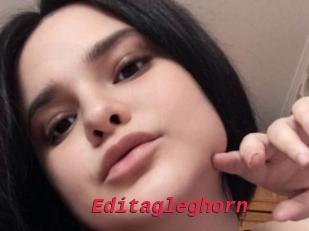 Editagleghorn