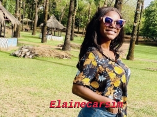 Elainecarsim