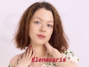 Elenecaris