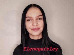 Elenegateley