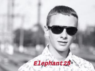 Elephant25