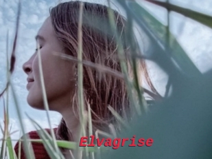 Elvagrise