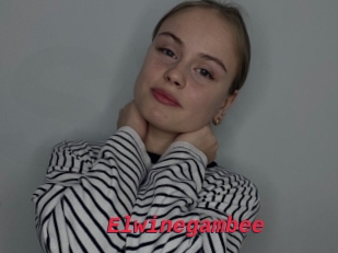 Elwinegambee