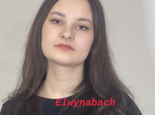 Elwynabach
