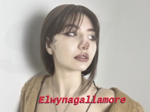 Elwynagallamore