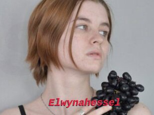 Elwynahessel