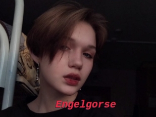 Engelgorse
