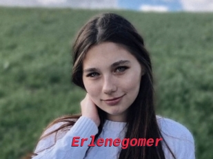 Erlenegomer