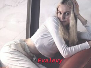 Evalevy