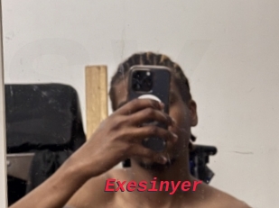 Exesinyer