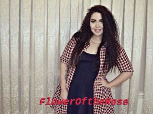 FlowerOftheRose
