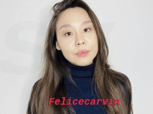 Felicecarvin