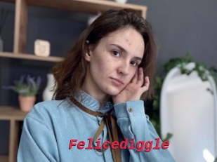 Felicediggle