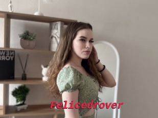 Felicedrover