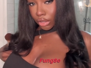 Fung8e