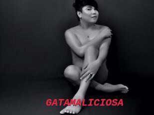 GATAMALICIOSA