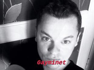 Gayminet