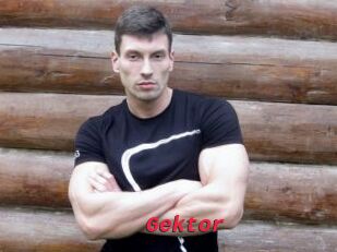Gektor