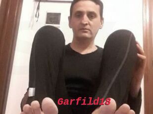 Garfild18