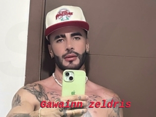 Gawainn_zeldris