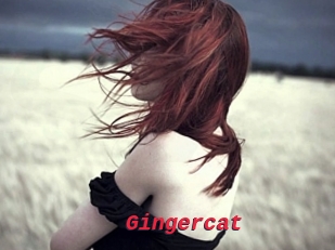 Gingercat