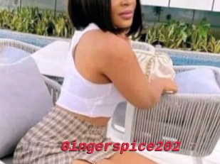 Gingerspice202