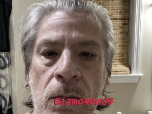 Gizmo46n29