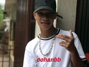 Gohanbb