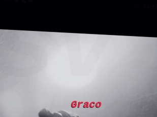 Graco