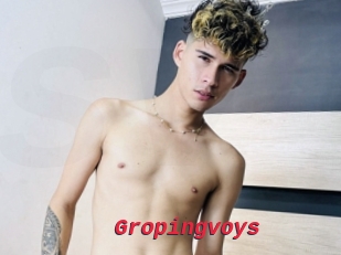 Gropingvoys