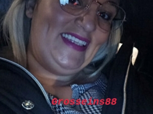 Grosseins88