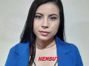HEMSUT