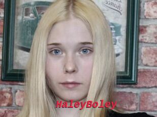 HaleyBoley