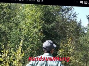 HandsumNHung