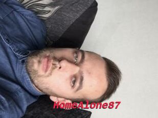 HomeAlone87