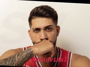Hadidvidal